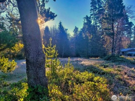 30510 O Ocean Park WA 98640
