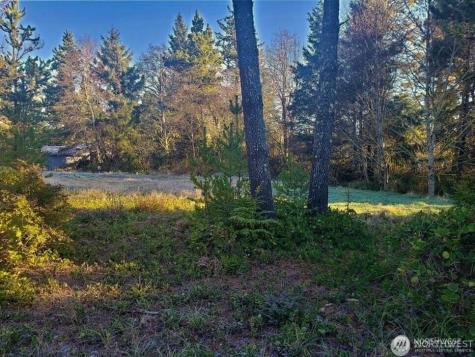 30510 O Ocean Park WA 98640