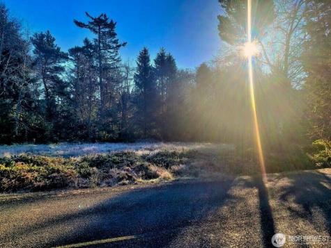 30510 O Ocean Park WA 98640