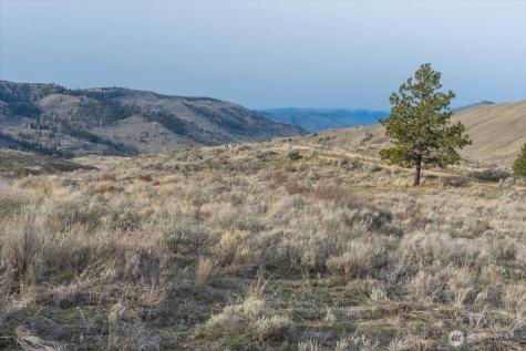 0 Parcel A - 13 Honeygold Drive Orondo WA 98843
