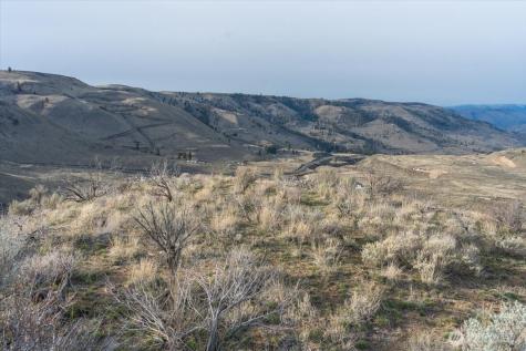 0 Parcel A - 13 Honeygold Drive Orondo WA 98843