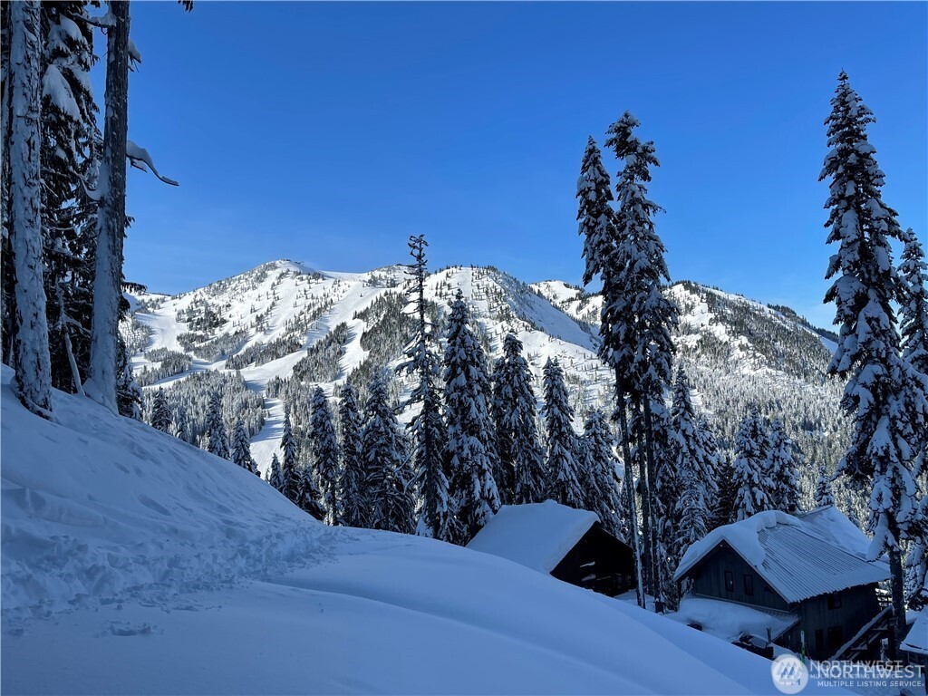 321 Gold Hills Road Lot 5 Greenwater WA 98022
