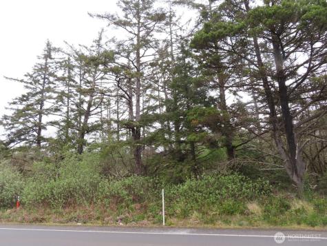 0 State Route 105 Grayland WA 98547
