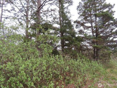 0 State Route 105 Grayland WA 98547
