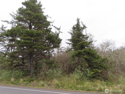 0 State Route 105 Grayland WA 98547