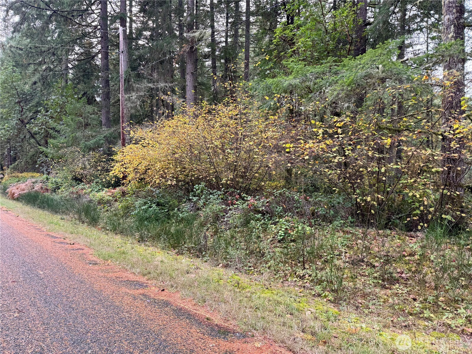 10824 Madrona Drive Anderson Island WA 98303