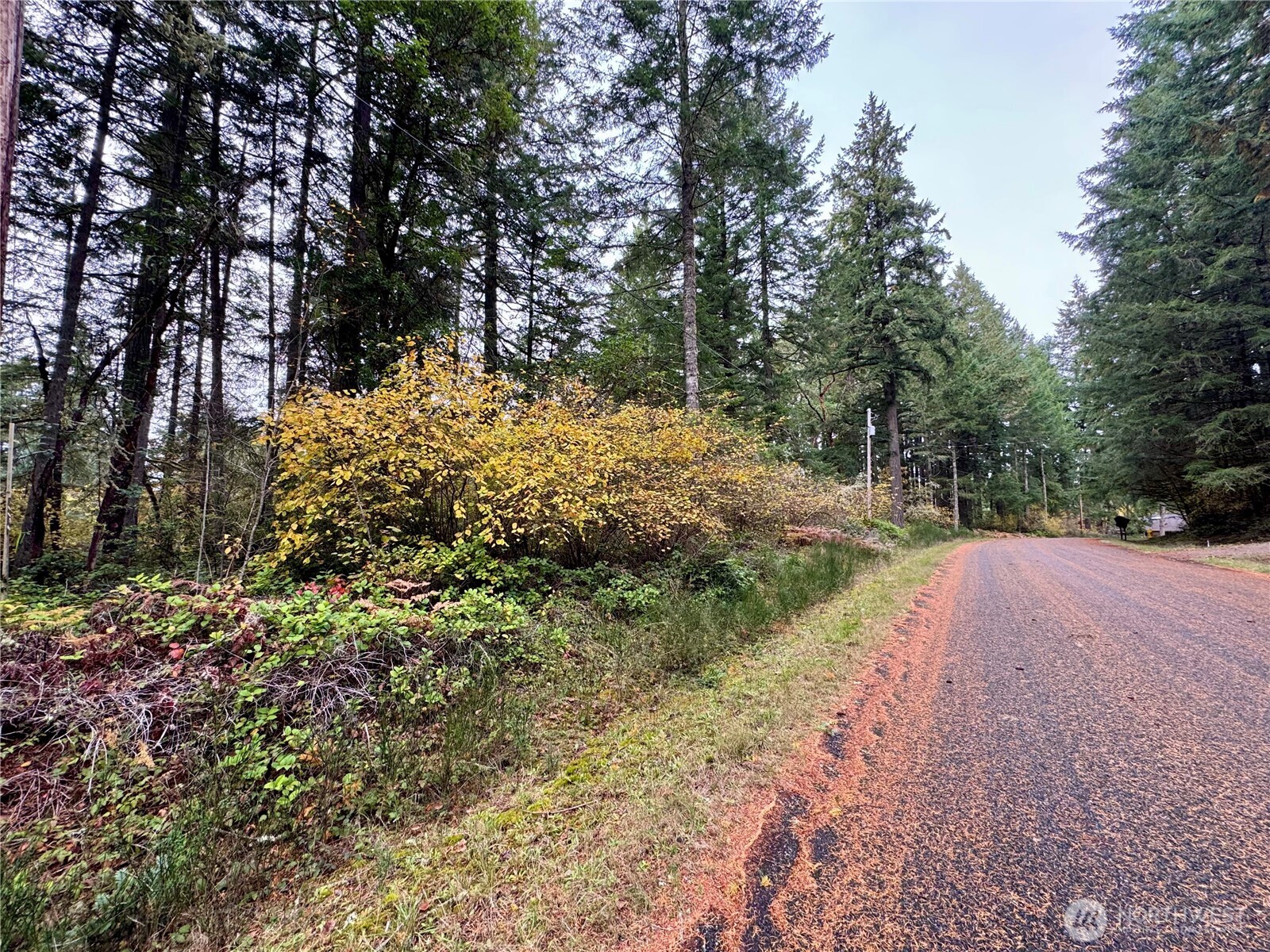 10824 Madrona Drive Anderson Island WA 98303