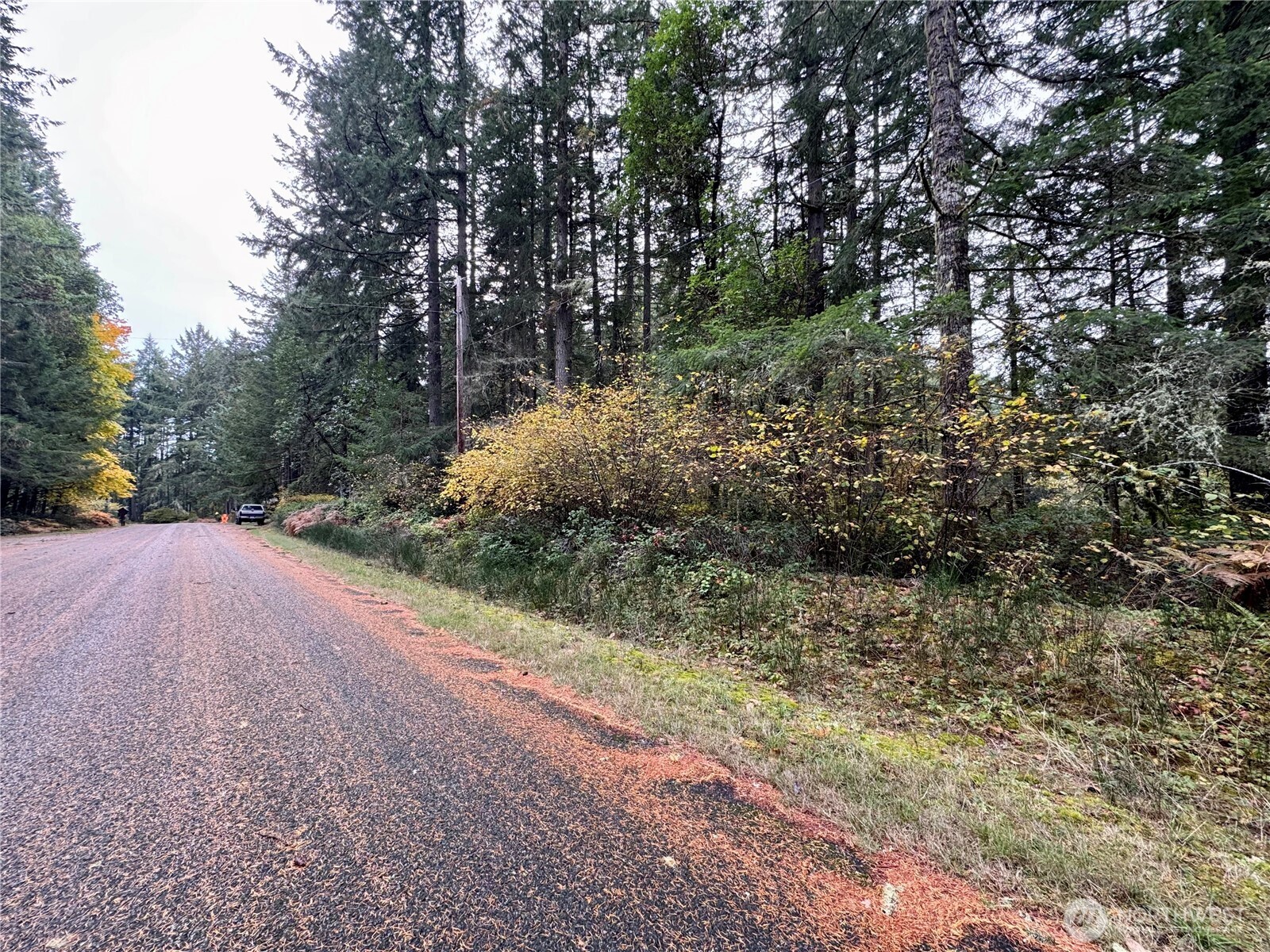 10824 Madrona Drive Anderson Island WA 98303