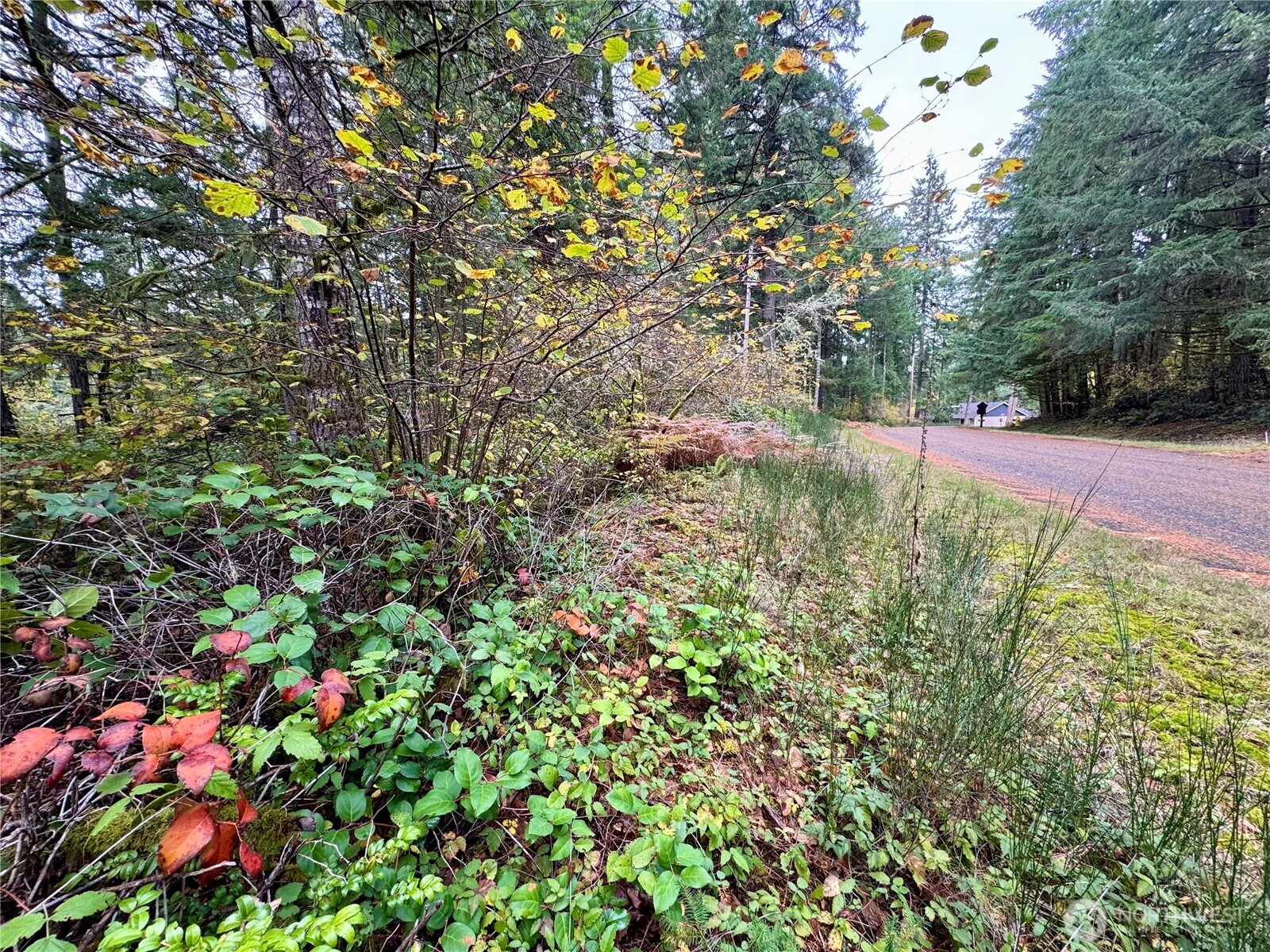 10824 Madrona Drive Anderson Island WA 98303