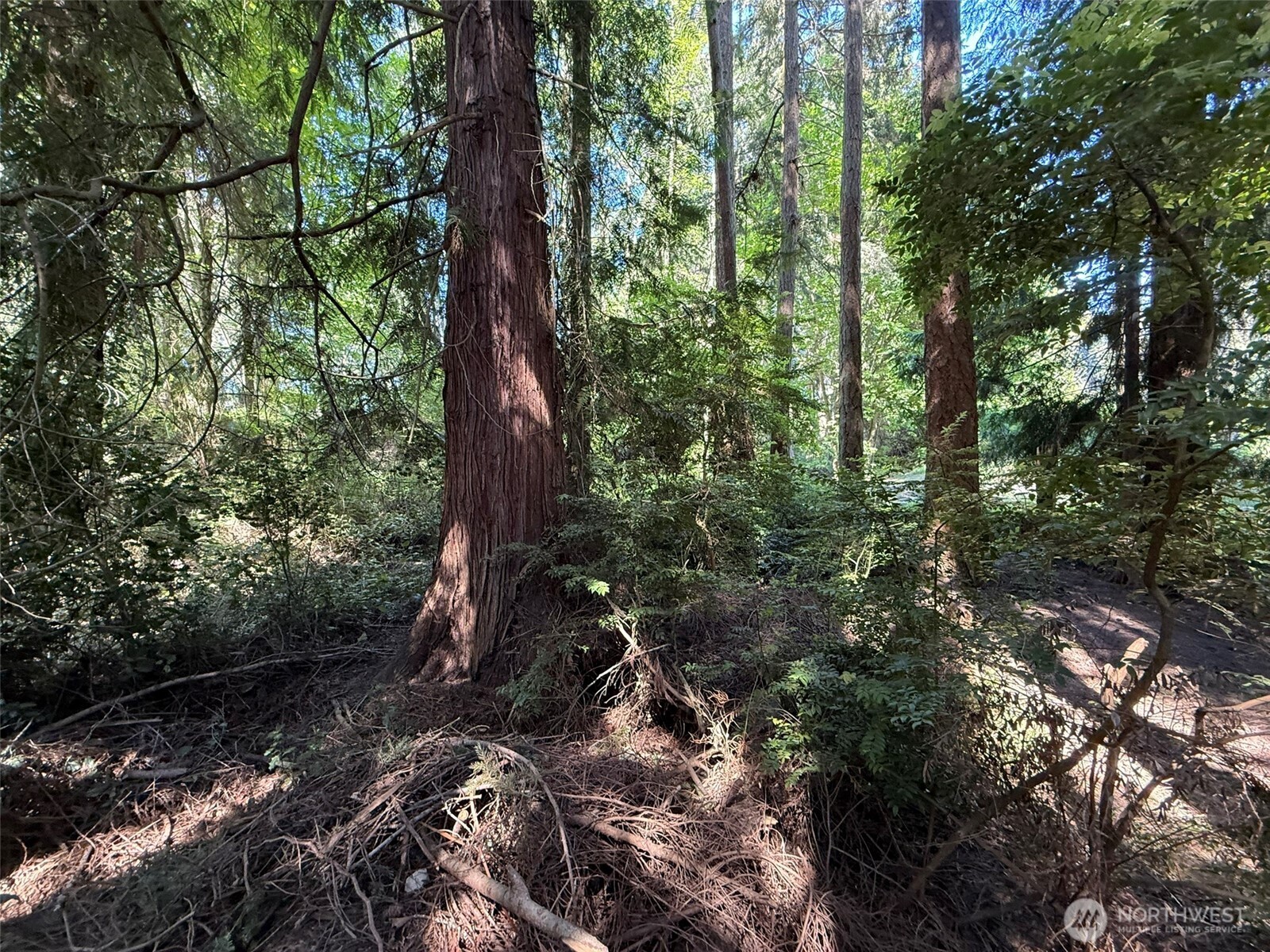 5860 Fish Road Freeland WA 98249
