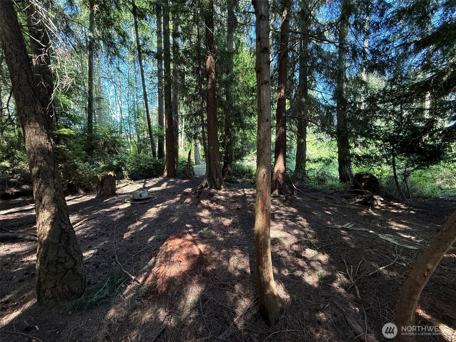 5860 Fish Road Freeland WA 98249