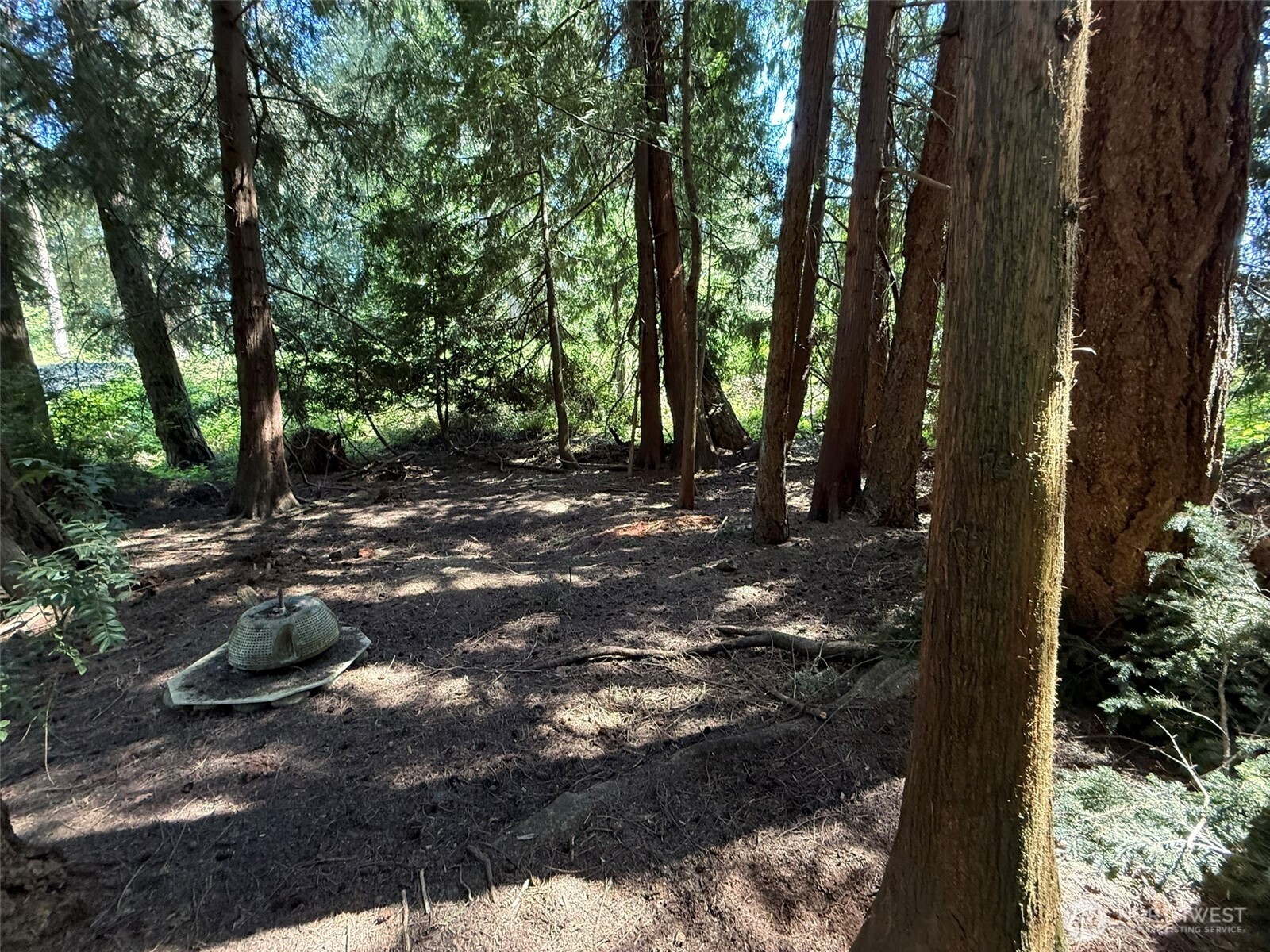 5860 Fish Road Freeland WA 98249