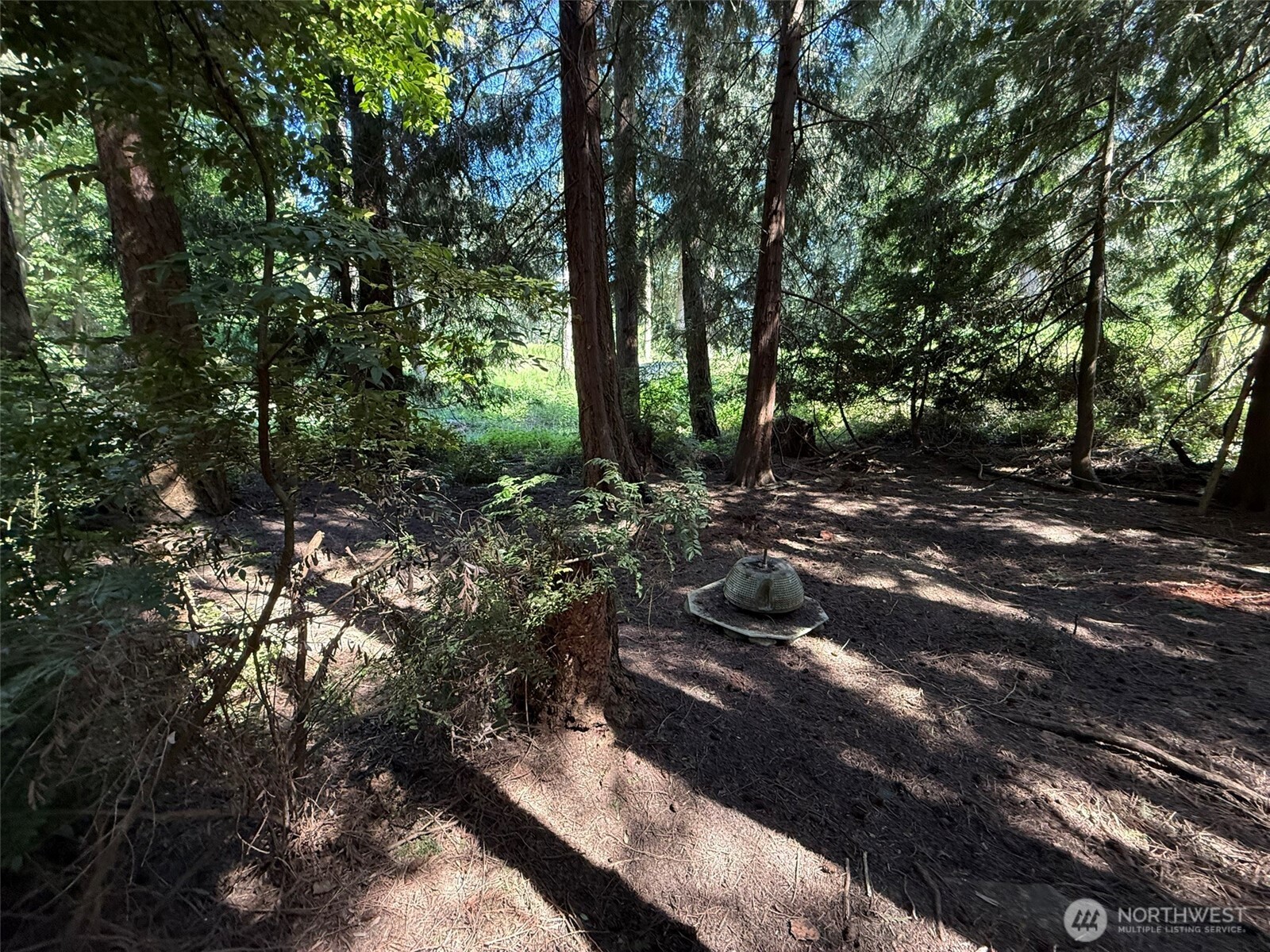 5860 Fish Road Freeland WA 98249