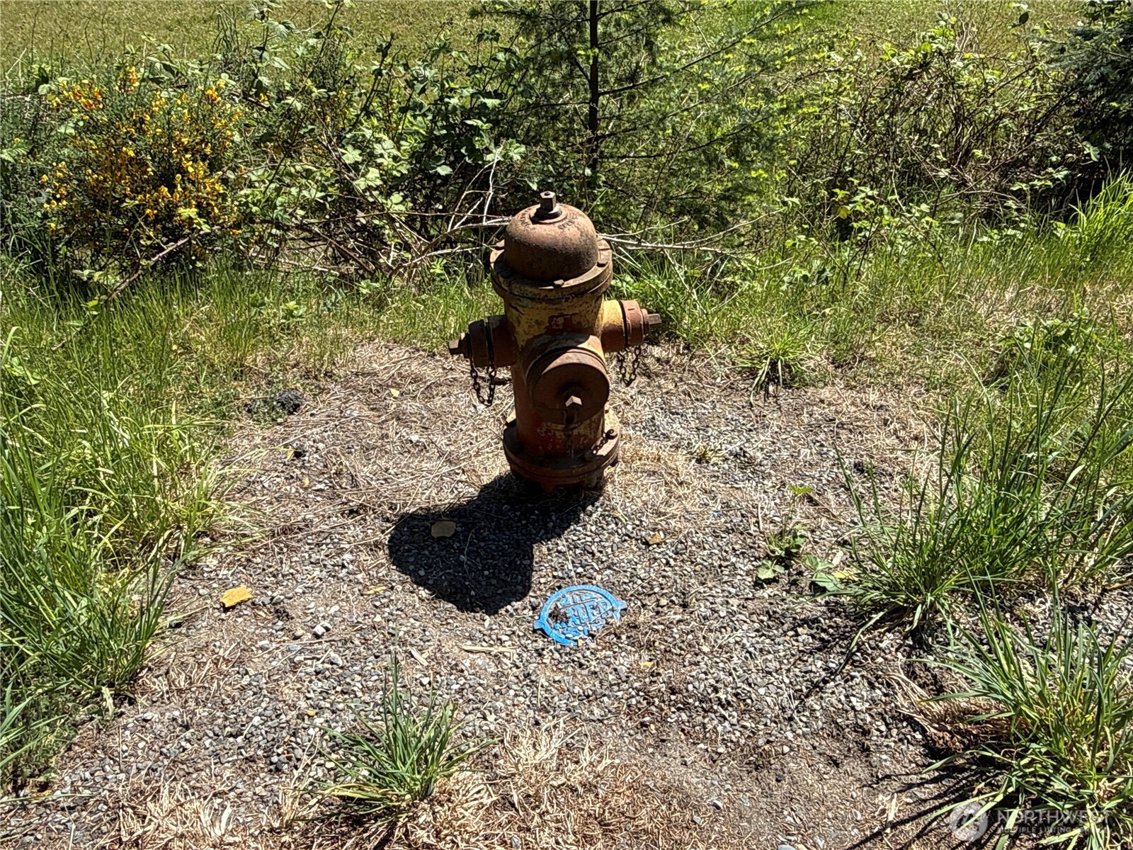 5860 Fish Road Freeland WA 98249