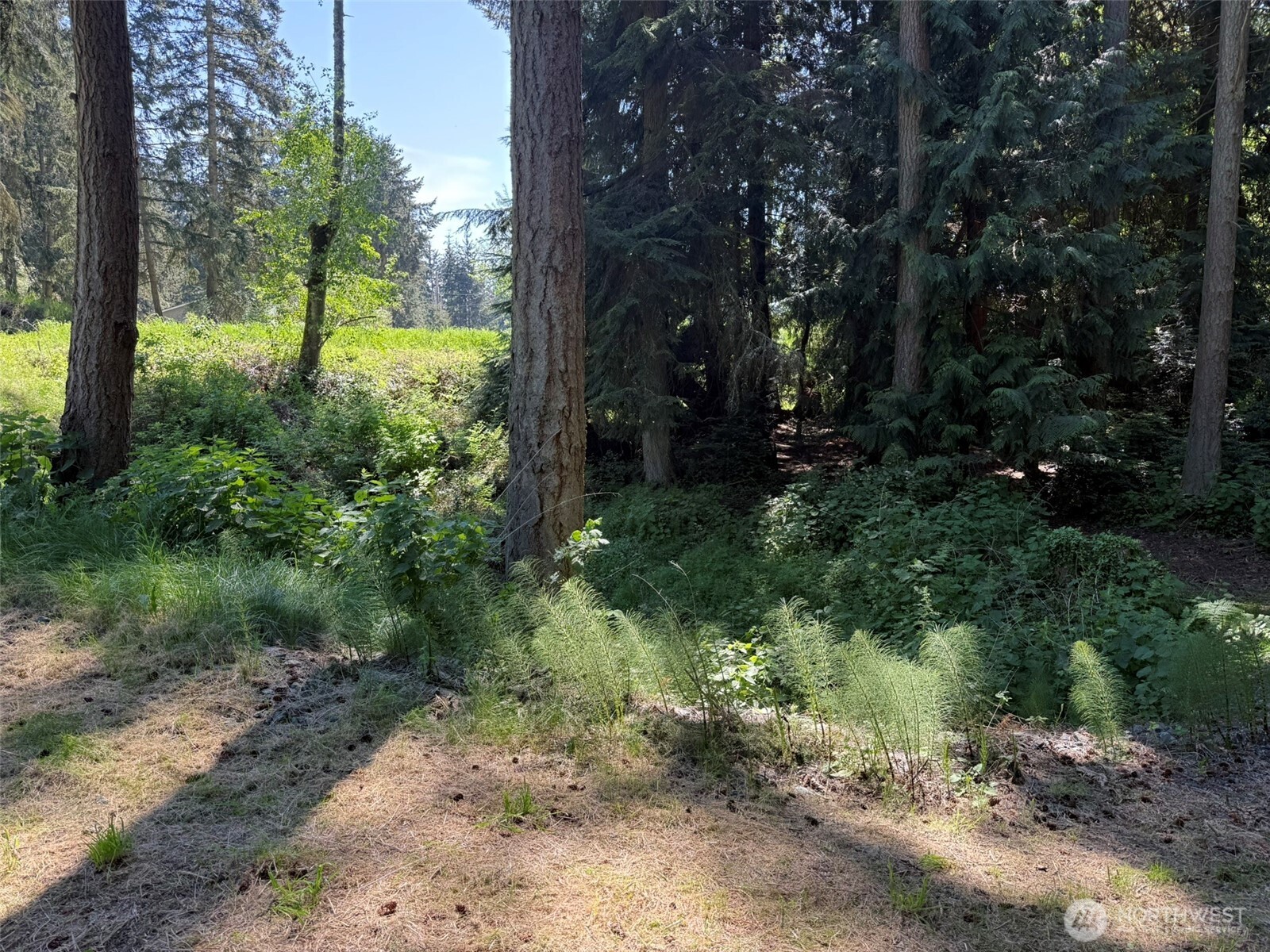 5860 Fish Road Freeland WA 98249
