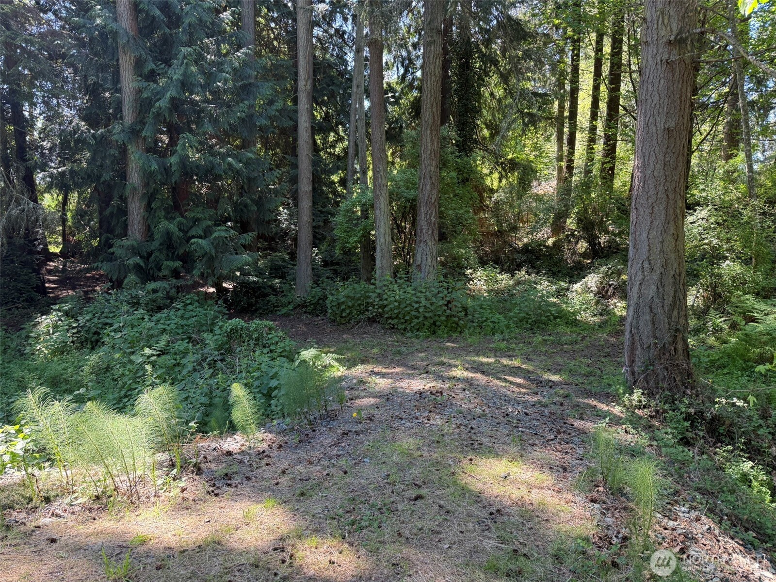 5860 Fish Road Freeland WA 98249