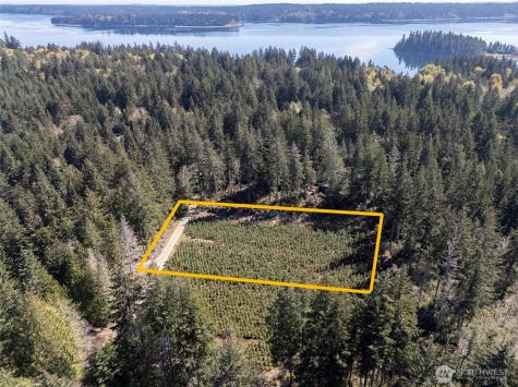 101 Andrejs Road Shelton WA 98584