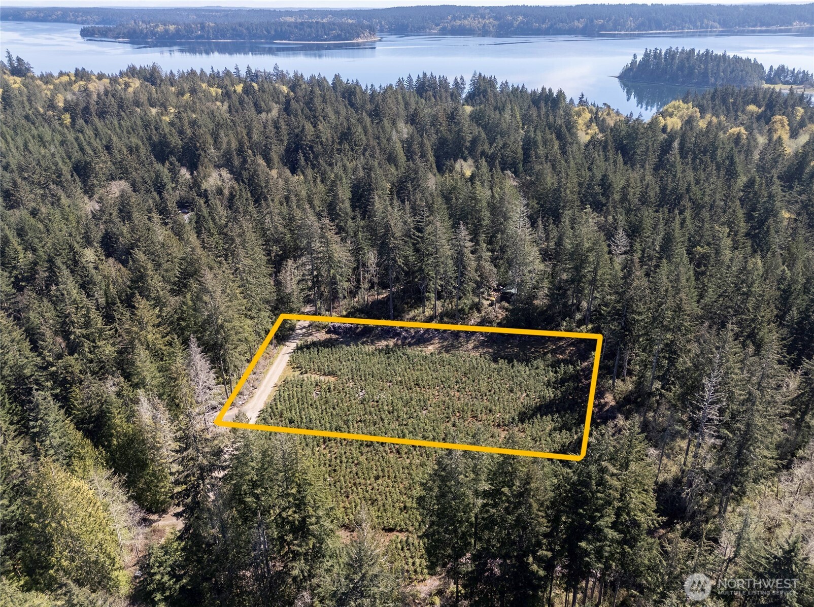 101 Andrejs Road Shelton WA 98584