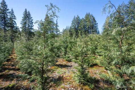 101 Andrejs Road Shelton WA 98584