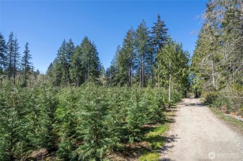 101 Andrejs Road Shelton WA 98584