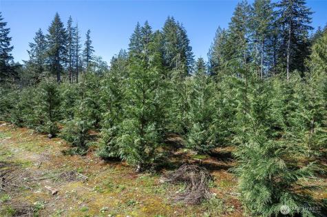 101 Andrejs Road Shelton WA 98584