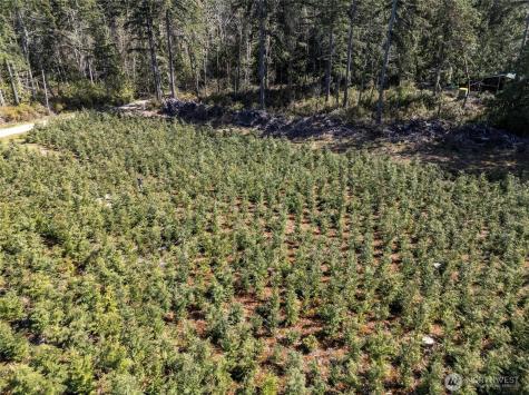101 Andrejs Road Shelton WA 98584