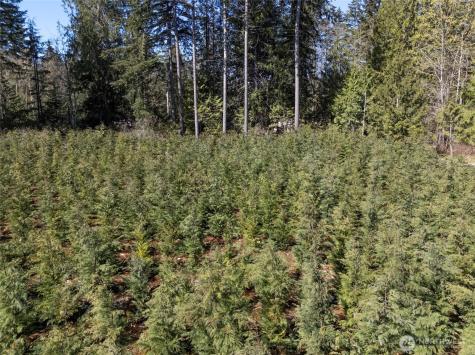 101 Andrejs Road Shelton WA 98584