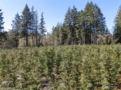 101 Andrejs Road Shelton WA 98584