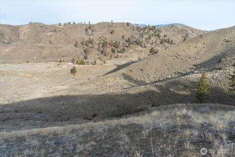 0 Parcel C - 13 Honeygold Drive Orondo WA 98843