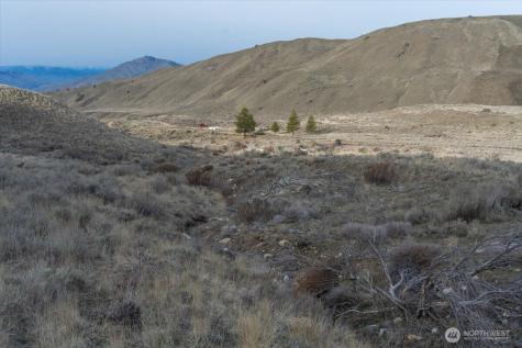 0 Parcel C - 13 Honeygold Drive Orondo WA 98843