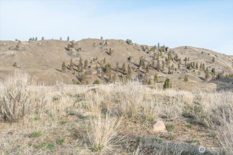 0 Parcel C - 13 Honeygold Drive Orondo WA 98843