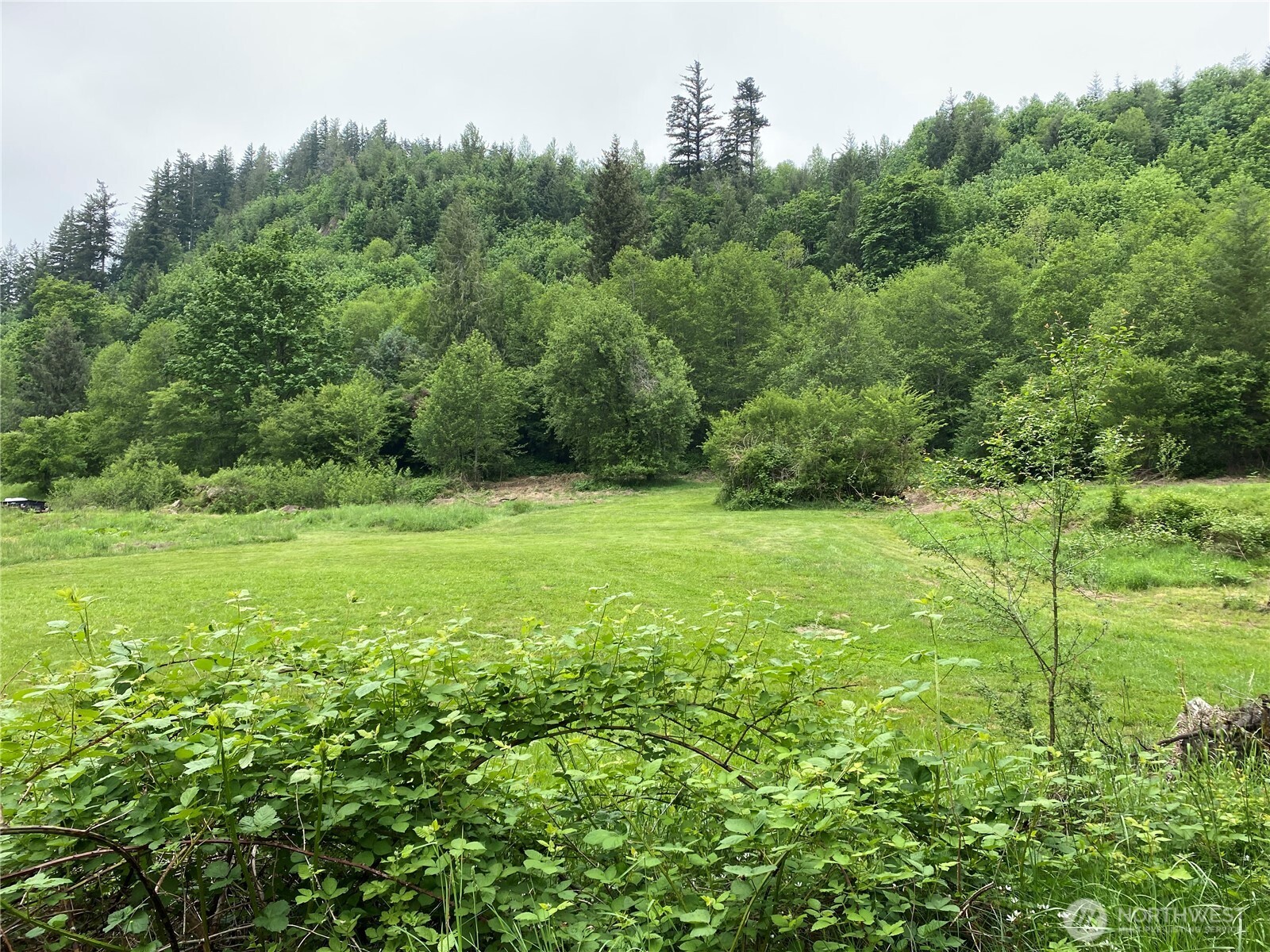 36508 312th Avenue SE Enumclaw WA 98022