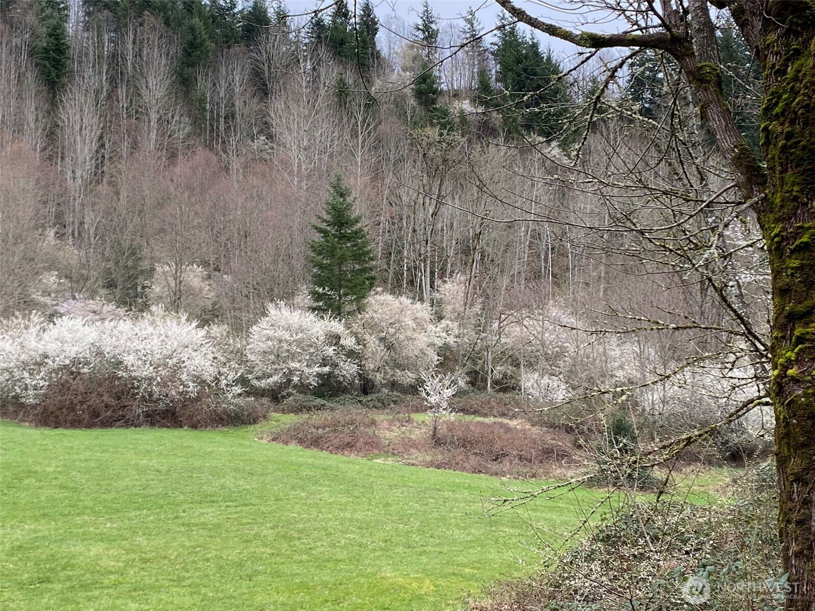 36508 312th Avenue SE Enumclaw WA 98022
