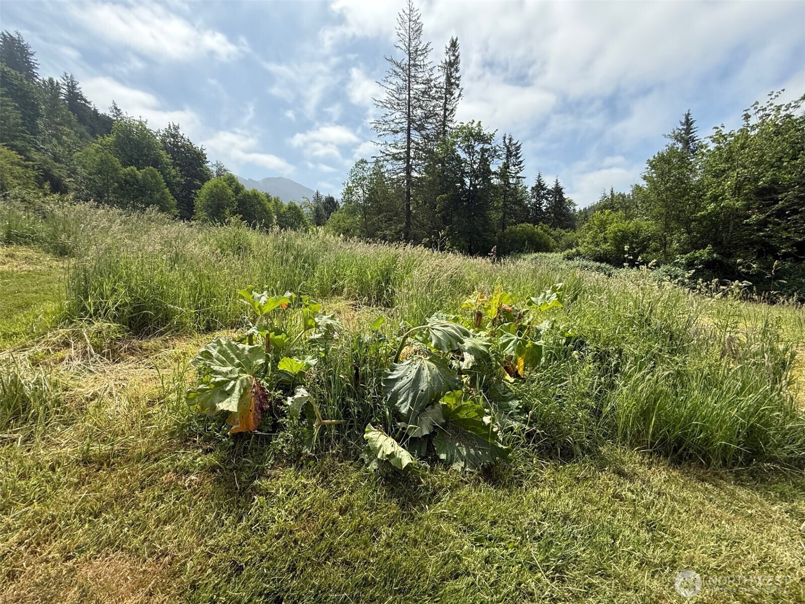 36508 312th Avenue SE Enumclaw WA 98022