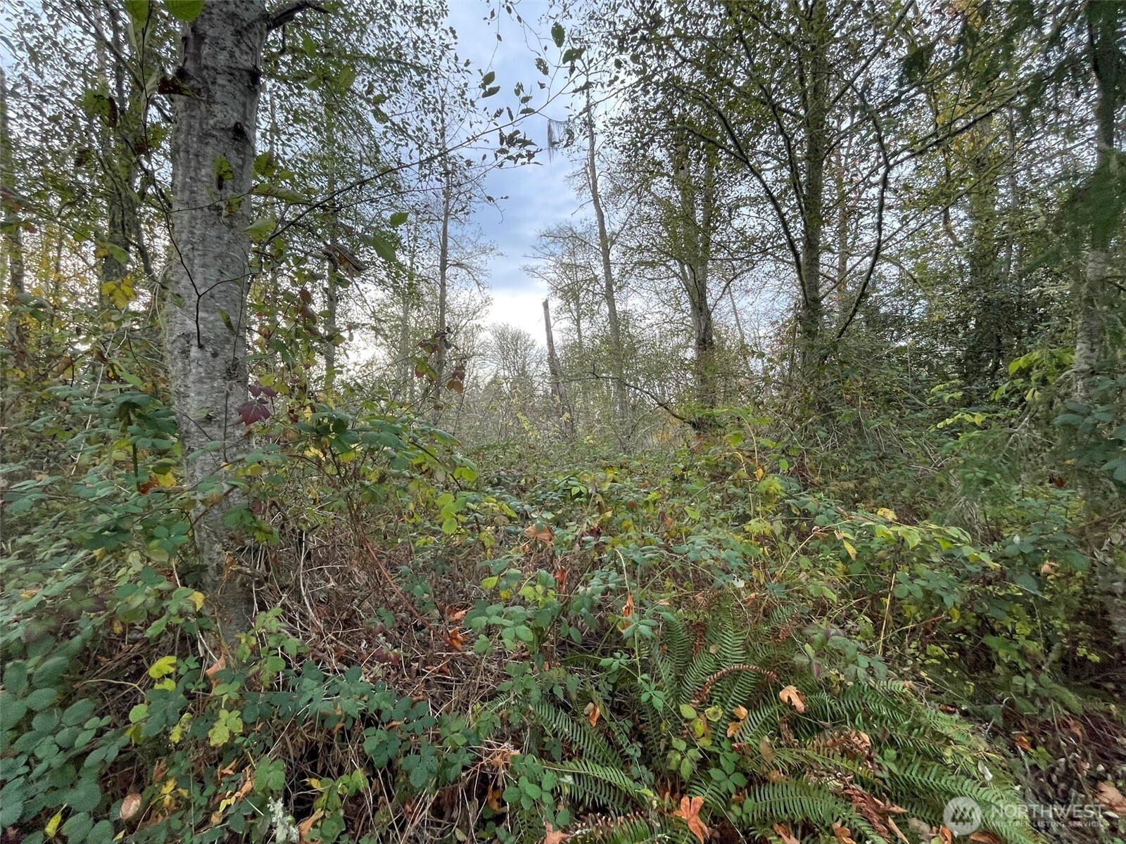 10312 SW 156th Street Vashon WA 98070