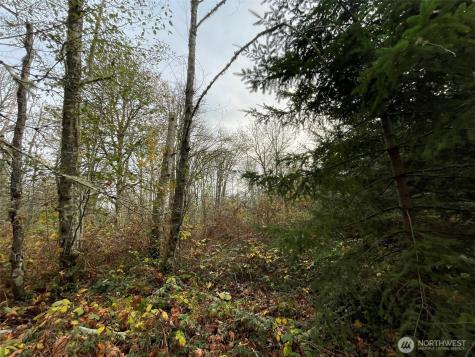 10312 SW 156th Street Vashon WA 98070