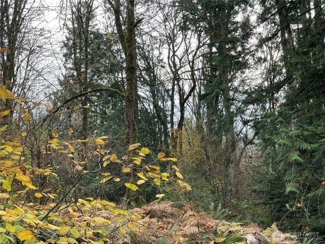 10312 SW 156th Street Vashon WA 98070