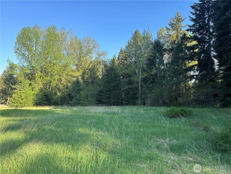 0 Beaver Lane Cle Elum WA 98922