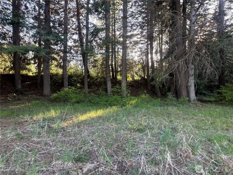 0 Beaver Lane Cle Elum WA 98922