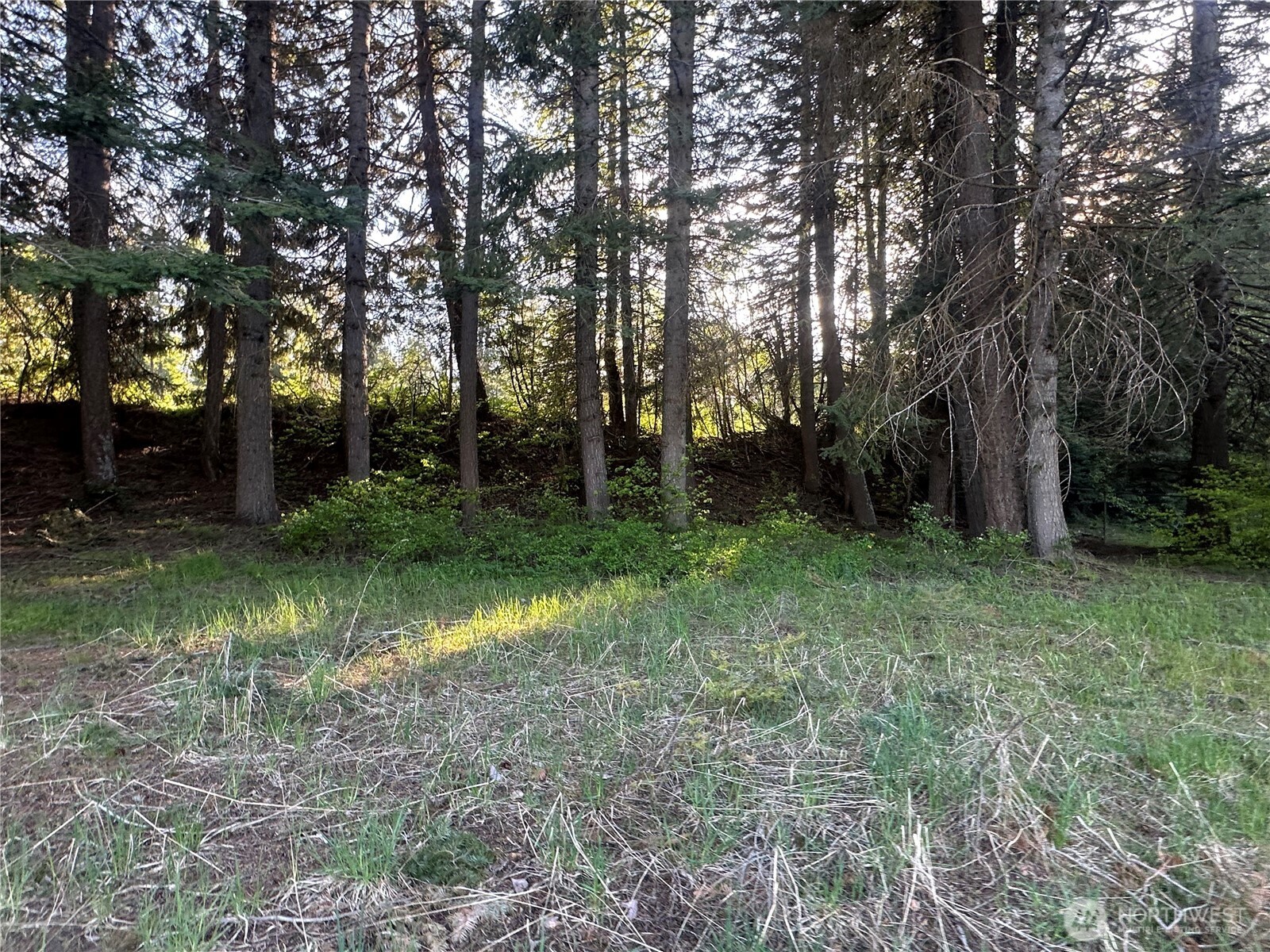 0 Beaver Lane Cle Elum WA 98922
