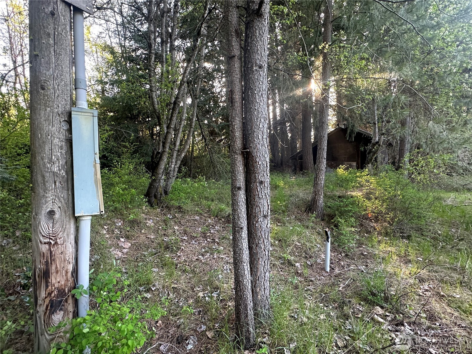 0 Beaver Lane Cle Elum WA 98922