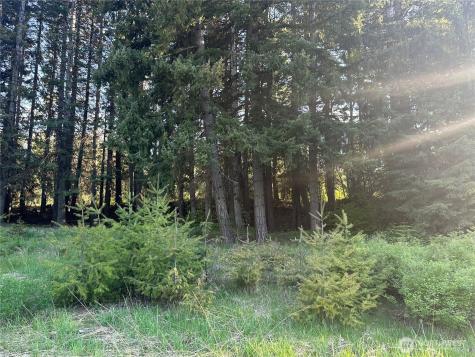 0 Beaver Lane Cle Elum WA 98922