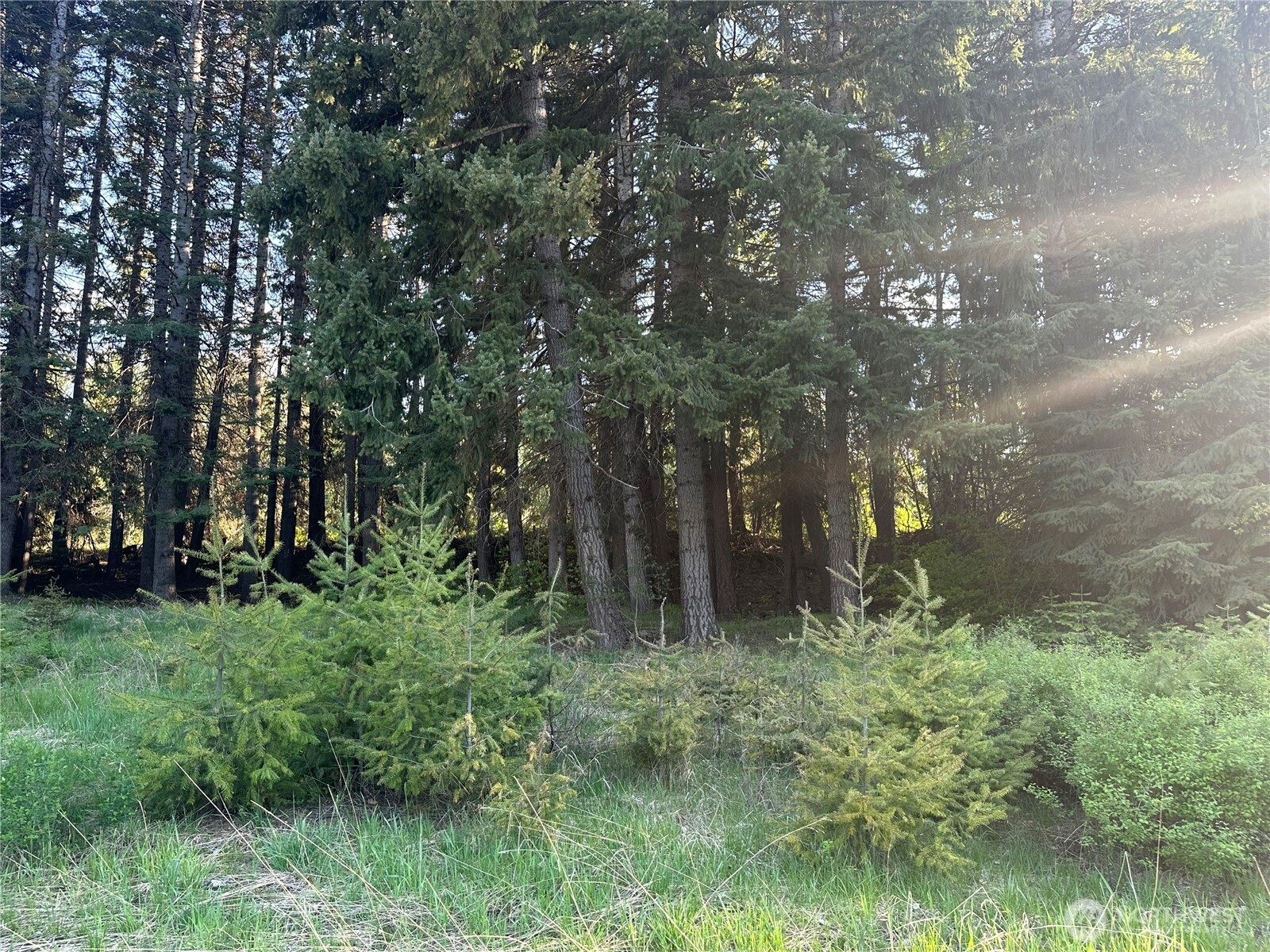 0 Beaver Lane Cle Elum WA 98922