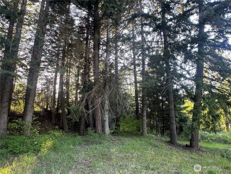 0 Beaver Lane Cle Elum WA 98922