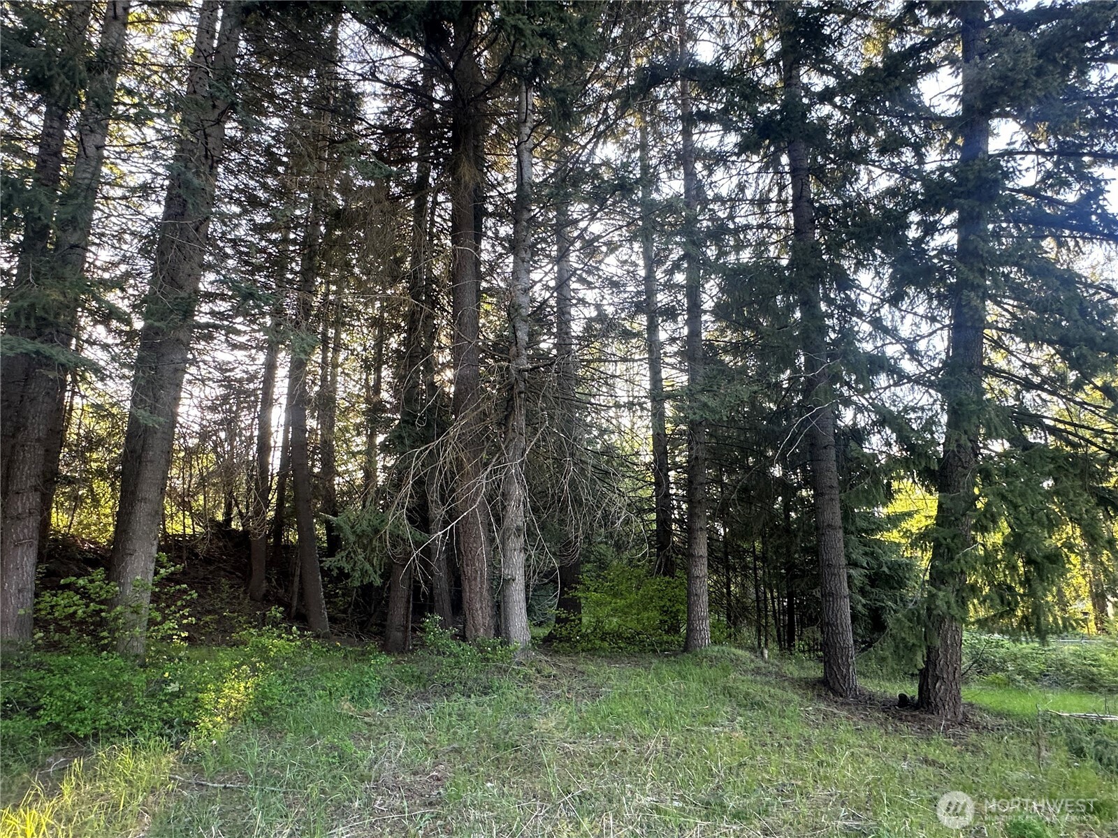 0 Beaver Lane Cle Elum WA 98922