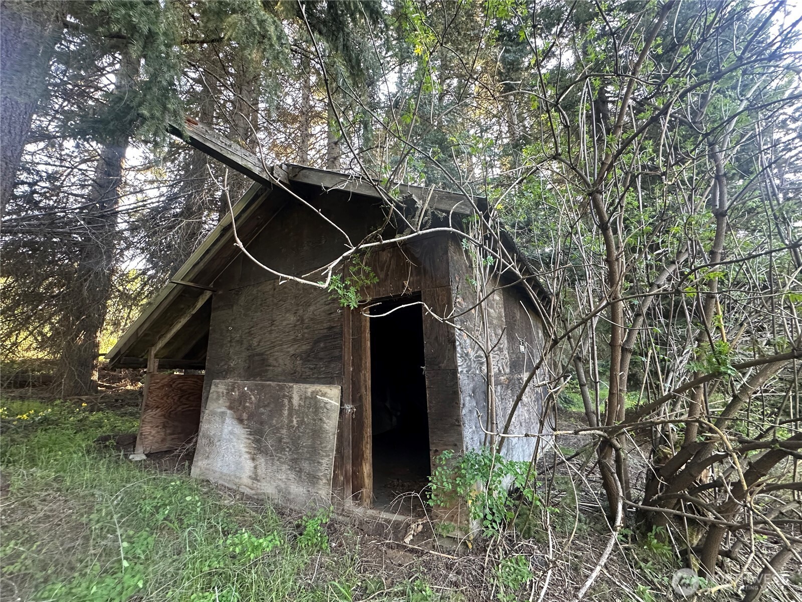 0 Beaver Lane Cle Elum WA 98922