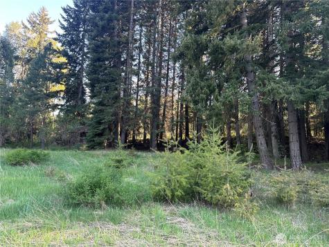 0 Beaver Lane Cle Elum WA 98922