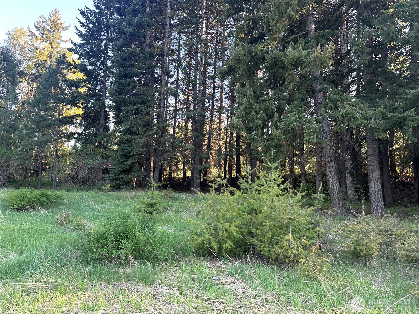 0 Beaver Lane Cle Elum WA 98922