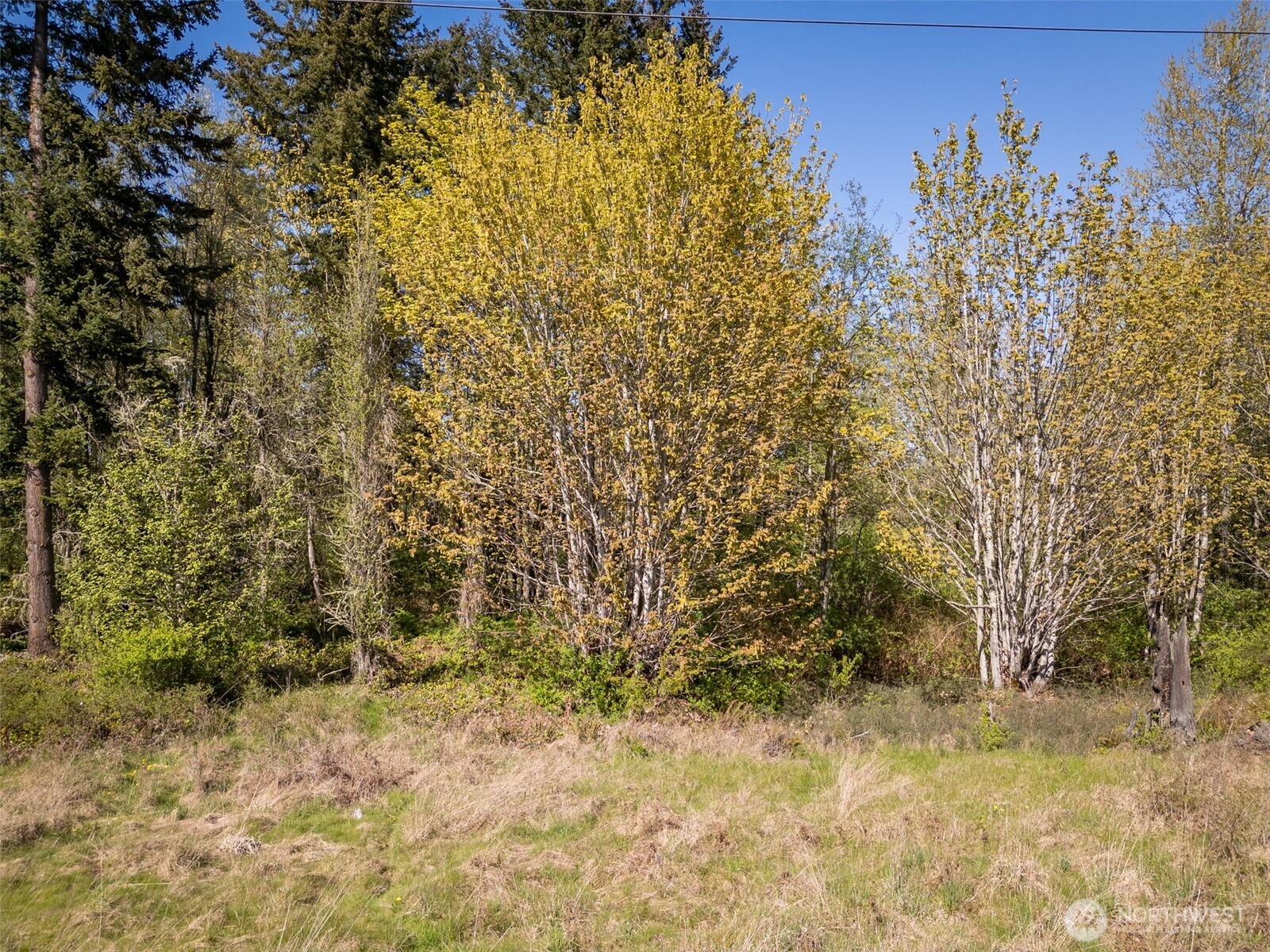 0 Roy Street Port Angeles WA 98362