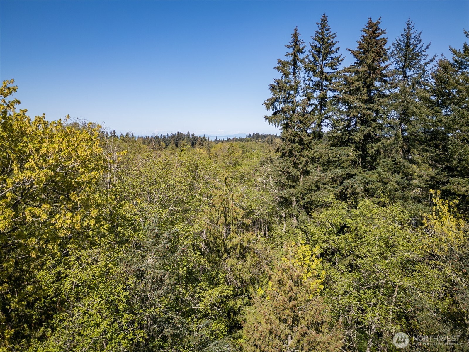 0 Roy Street Port Angeles WA 98362